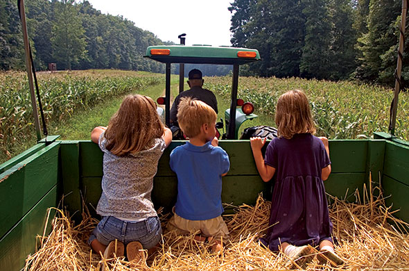 Kids on a hayride.